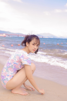 投狼送豹